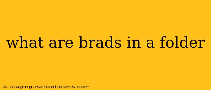 what are brads in a folder