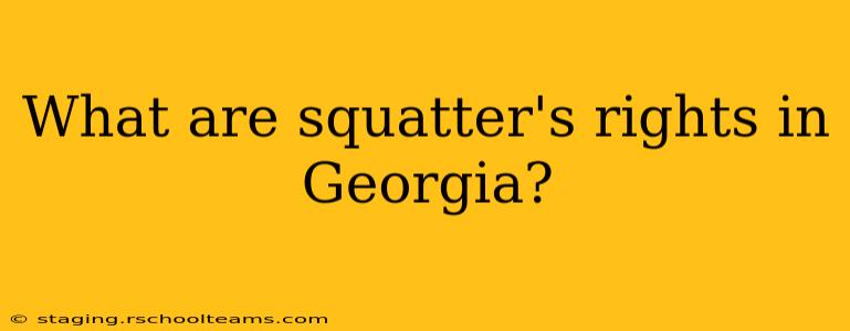What are squatter's rights in Georgia?