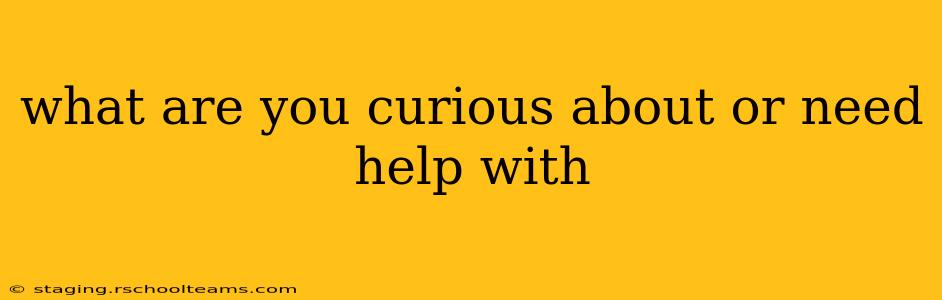 what are you curious about or need help with