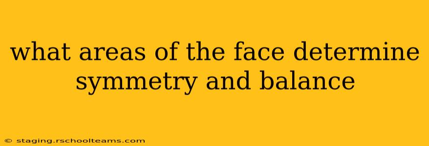 what areas of the face determine symmetry and balance