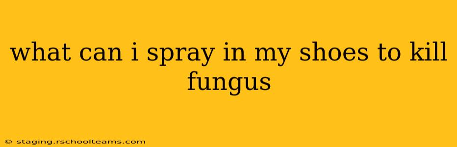 what can i spray in my shoes to kill fungus