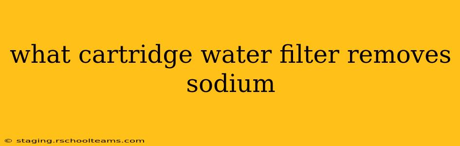 what cartridge water filter removes sodium