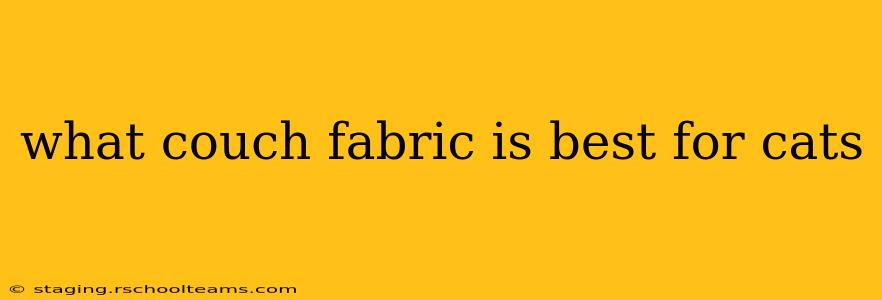 what couch fabric is best for cats
