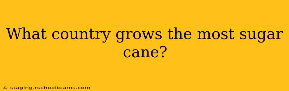 What country grows the most sugar cane?