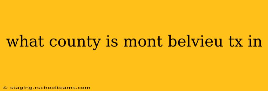 what county is mont belvieu tx in