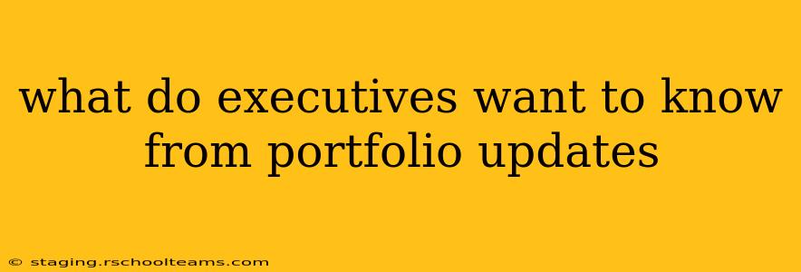 what do executives want to know from portfolio updates