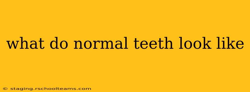what do normal teeth look like