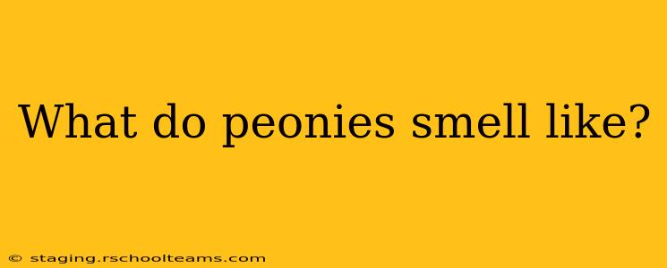 What do peonies smell like?