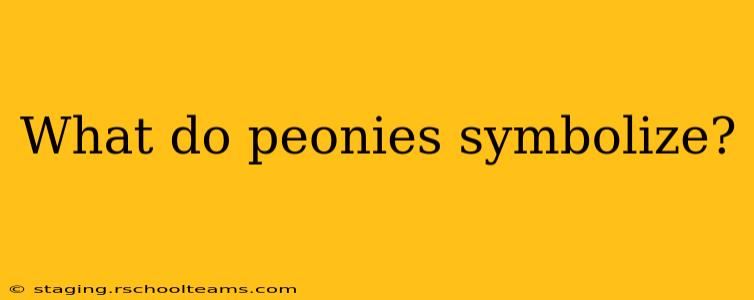 What do peonies symbolize?