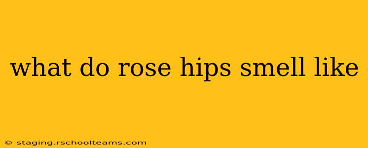what do rose hips smell like