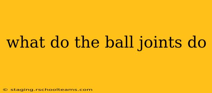 what do the ball joints do