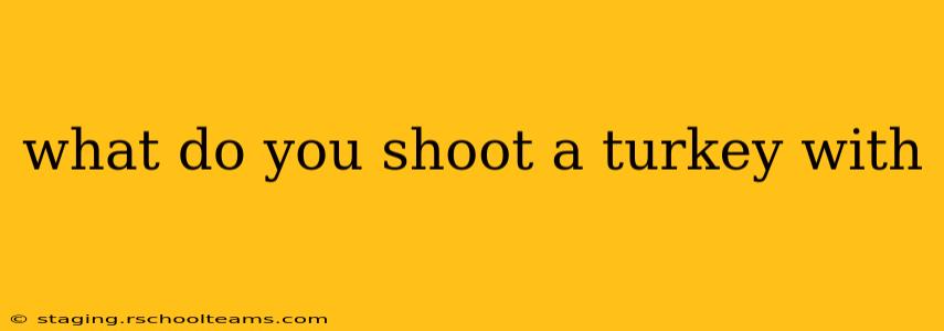what do you shoot a turkey with