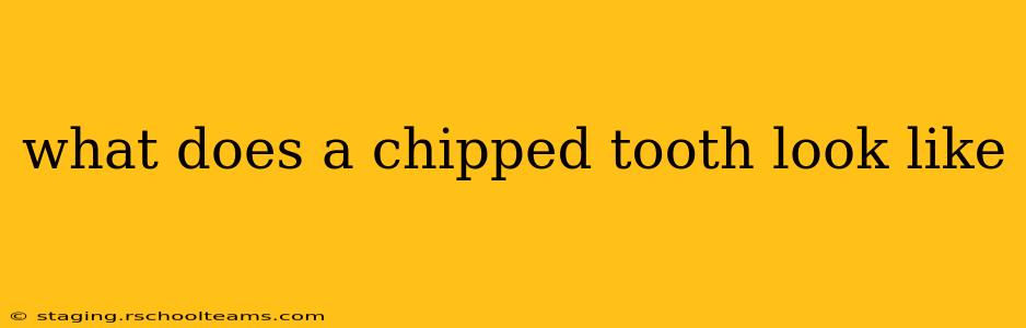 what does a chipped tooth look like