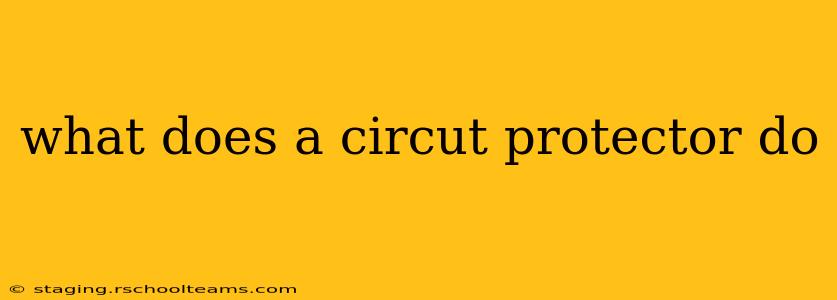 what does a circut protector do