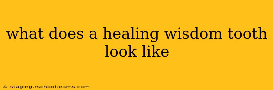 what does a healing wisdom tooth look like
