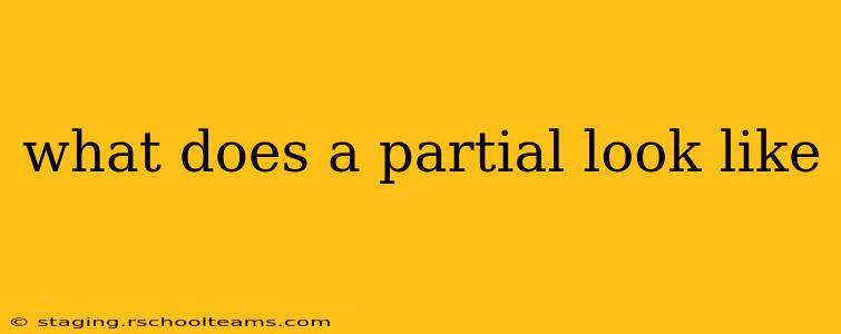 what does a partial look like