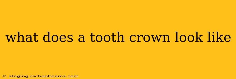 what does a tooth crown look like