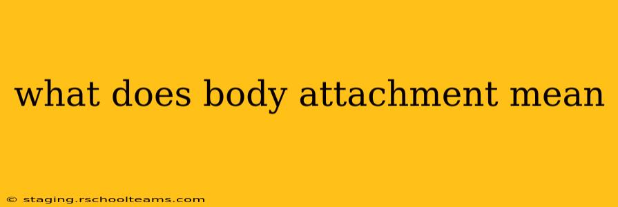 what does body attachment mean