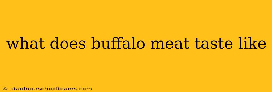 what does buffalo meat taste like