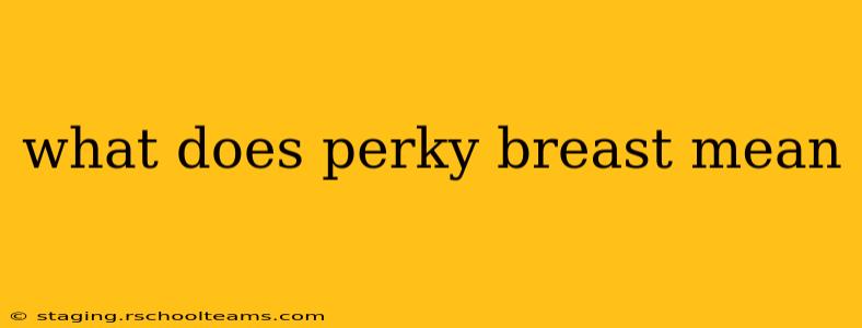 what does perky breast mean