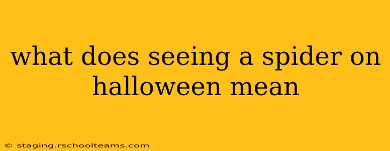 what does seeing a spider on halloween mean