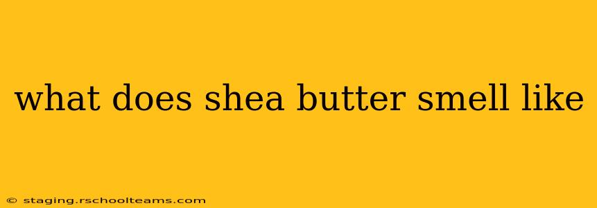 what does shea butter smell like