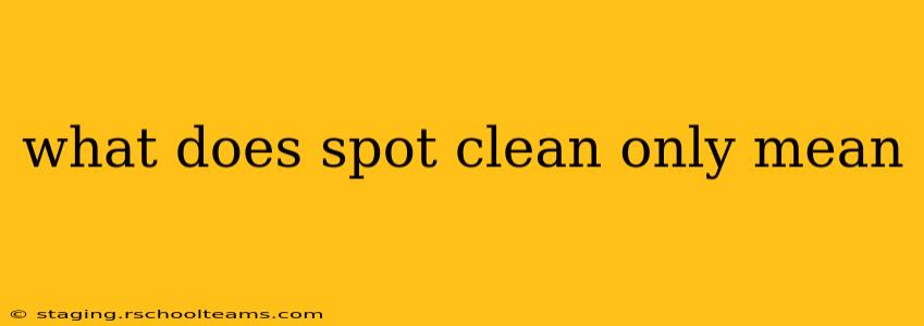 what does spot clean only mean