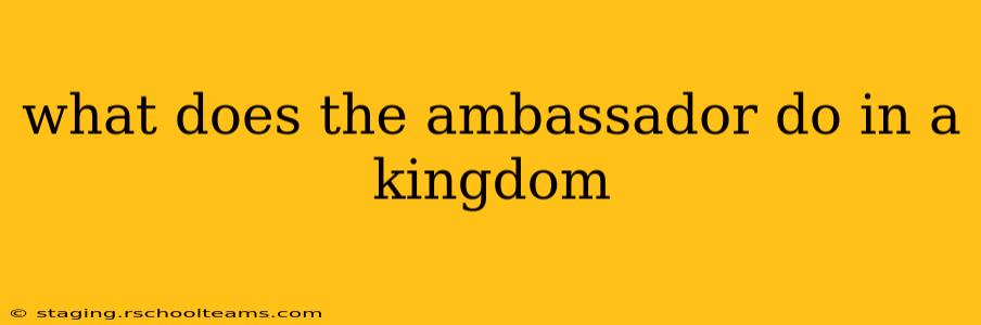 what does the ambassador do in a kingdom