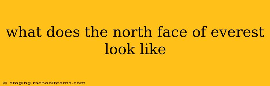 what does the north face of everest look like