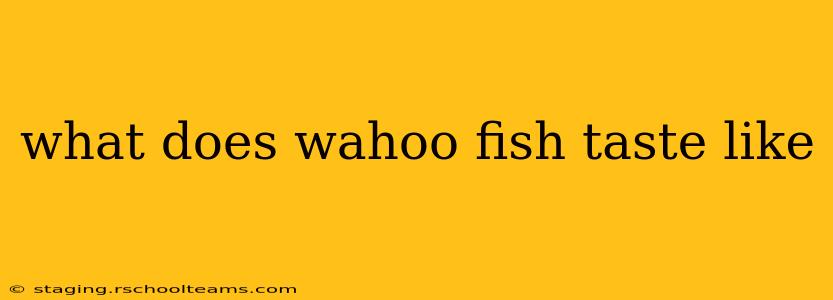 what does wahoo fish taste like