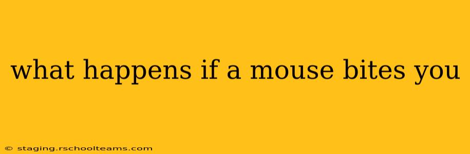 what happens if a mouse bites you
