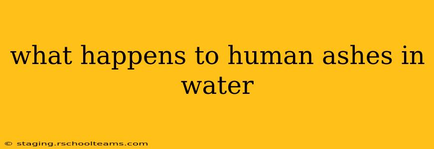 what happens to human ashes in water
