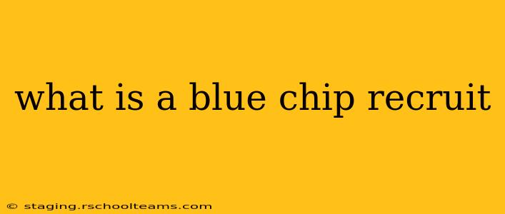 what is a blue chip recruit