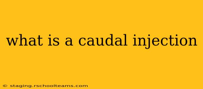 what is a caudal injection