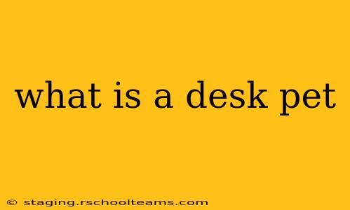 what is a desk pet