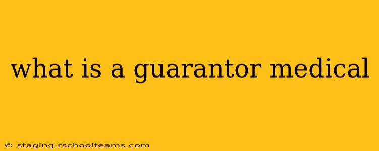 what is a guarantor medical