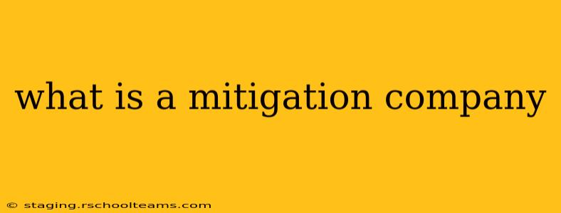what is a mitigation company