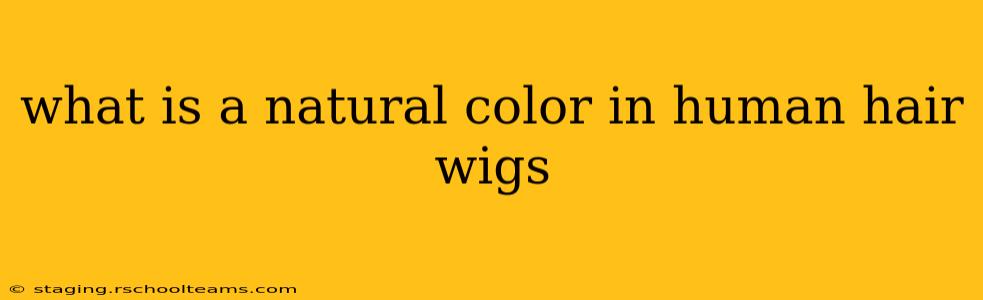 what is a natural color in human hair wigs