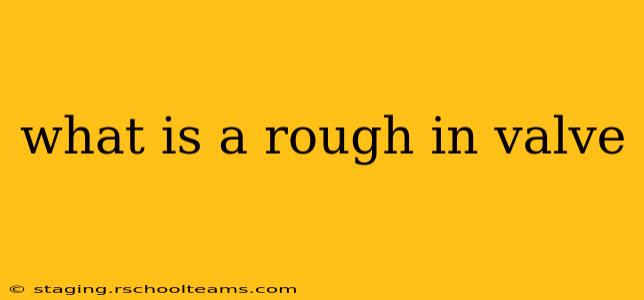what is a rough in valve