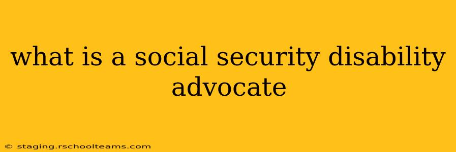 what is a social security disability advocate