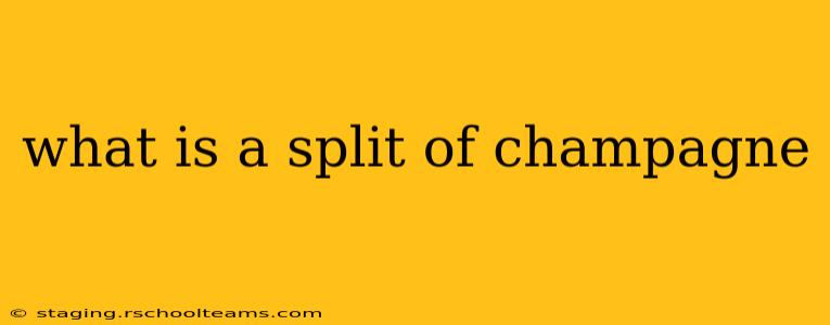 what is a split of champagne