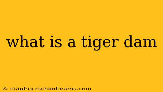 what is a tiger dam