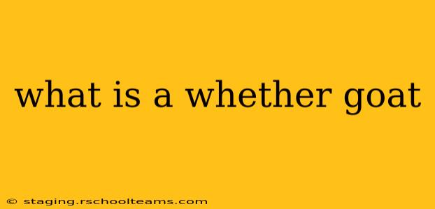 what is a whether goat