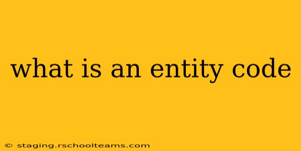 what is an entity code