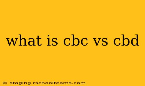 what is cbc vs cbd