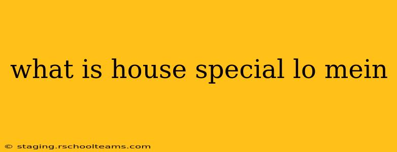 what is house special lo mein