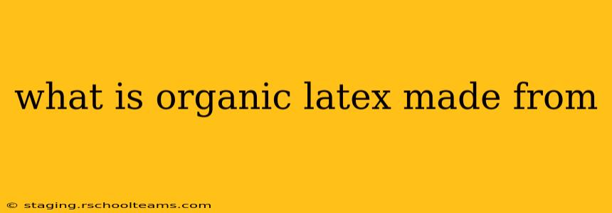 what is organic latex made from