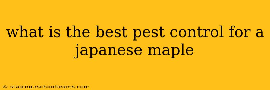 what is the best pest control for a japanese maple