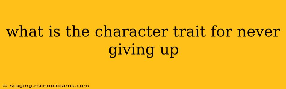 what is the character trait for never giving up