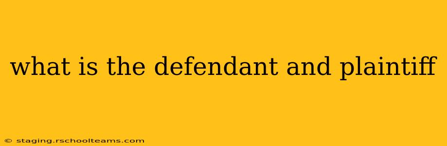 what is the defendant and plaintiff